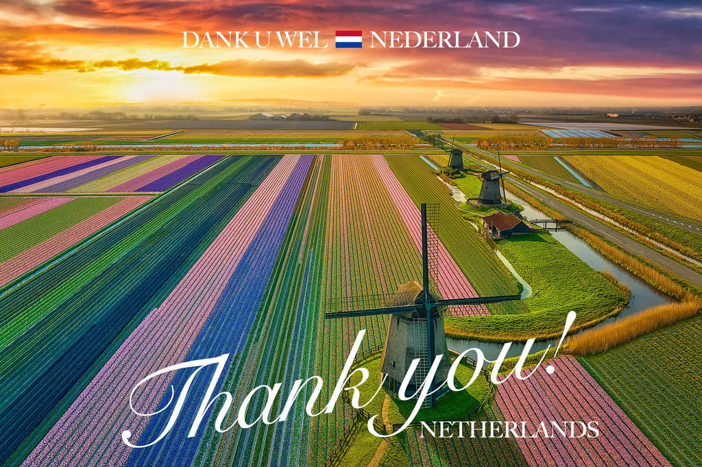 THANK YOU, NETHERLANDS 🇳🇱