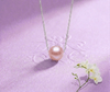 Single Pink Freshwater Pearl Chain Necklace in Sterling Silver