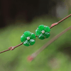 Burmese Jadeite Jade Carved Apricot Blossom Flower Earrings in 14K Yellow Gold by AME Jewellery. The brilliant beauty of the Yellow Apricot Blossom is the inspiration behind the design of these jade earrings that are imbued with Vietnamese culture.