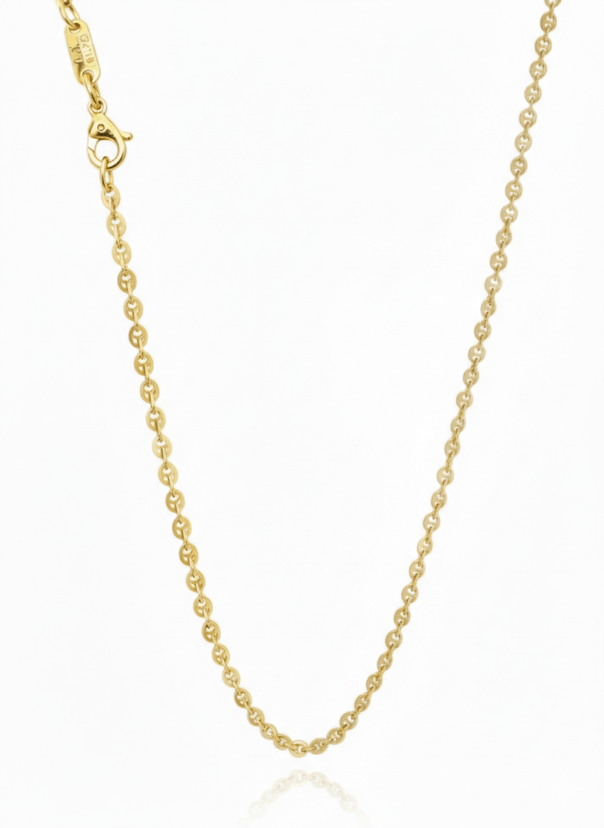Dây chuyền đồng tiền Vàng 14K Yellow Gold Lucky Money Link Chain Necklace by AME Jewellery