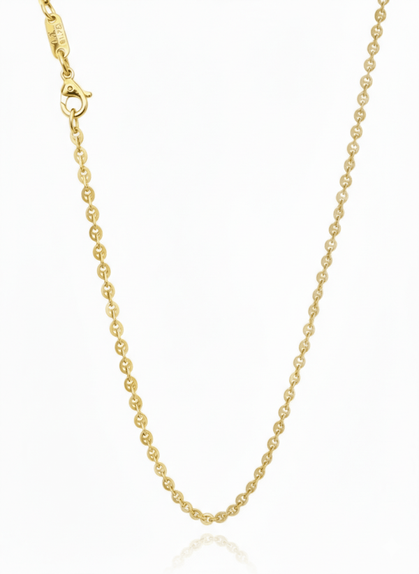 Dây chuyền đồng tiền Vàng 14K Yellow Gold Lucky Money Link Chain Necklace by AME Jewellery