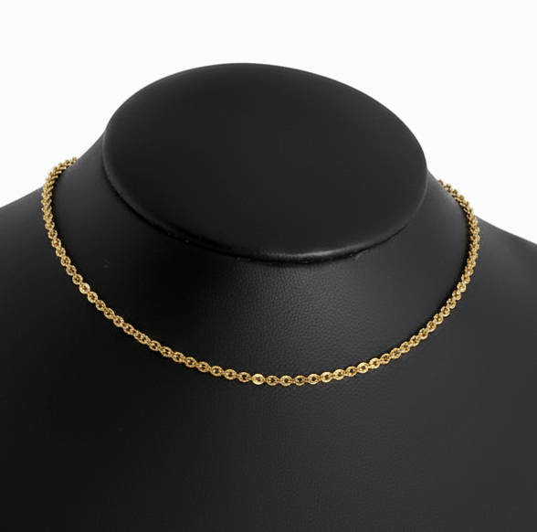 Dây chuyền đồng tiền Vàng 14K Yellow Gold Lucky Money Link Chain Necklace by AME Jewellery