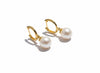 Bông tai Vàng Ngọc trai trắng White Freshwater Pearl Horseshoe Hoop Earrings in 14K Yellow Gold by AME Jewellery