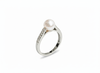 Nhẫn Ngọc trai White Freshwater Pearl Silver Ring by AME Jewellery
