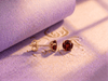 Natural Red Garnet 4-prong Earrings in 14K Yellow Gold by AME Jewellery. 