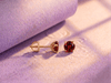 Natural Red Garnet 4-prong Earrings in 14K Yellow Gold by AME Jewellery. 