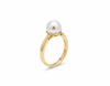 Nhẫn Vàng Ngọc trai nước nuôi ngọt màu trắng | White Freshwater Cultured Pearl Ring in 14K Yellow Gold by AME Jewellery