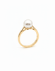 Nhẫn Vàng Ngọc trai nước nuôi ngọt màu trắng | White Freshwater Cultured Pearl Ring in 14K Yellow Gold by AME Jewellery