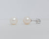 Bông tai Ngọc trai trắng White Freshwater Cultured Pearl Earrings in 14K White Gold by AME Jewellery