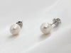 Bông tai Ngọc trai trắng White Freshwater Cultured Pearl Earrings in 14K White Gold by AME Jewellery