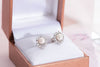 Bông tai Ngọc trai nước ngọt trắng Pearl Silver Earrings | AME Jewellery
