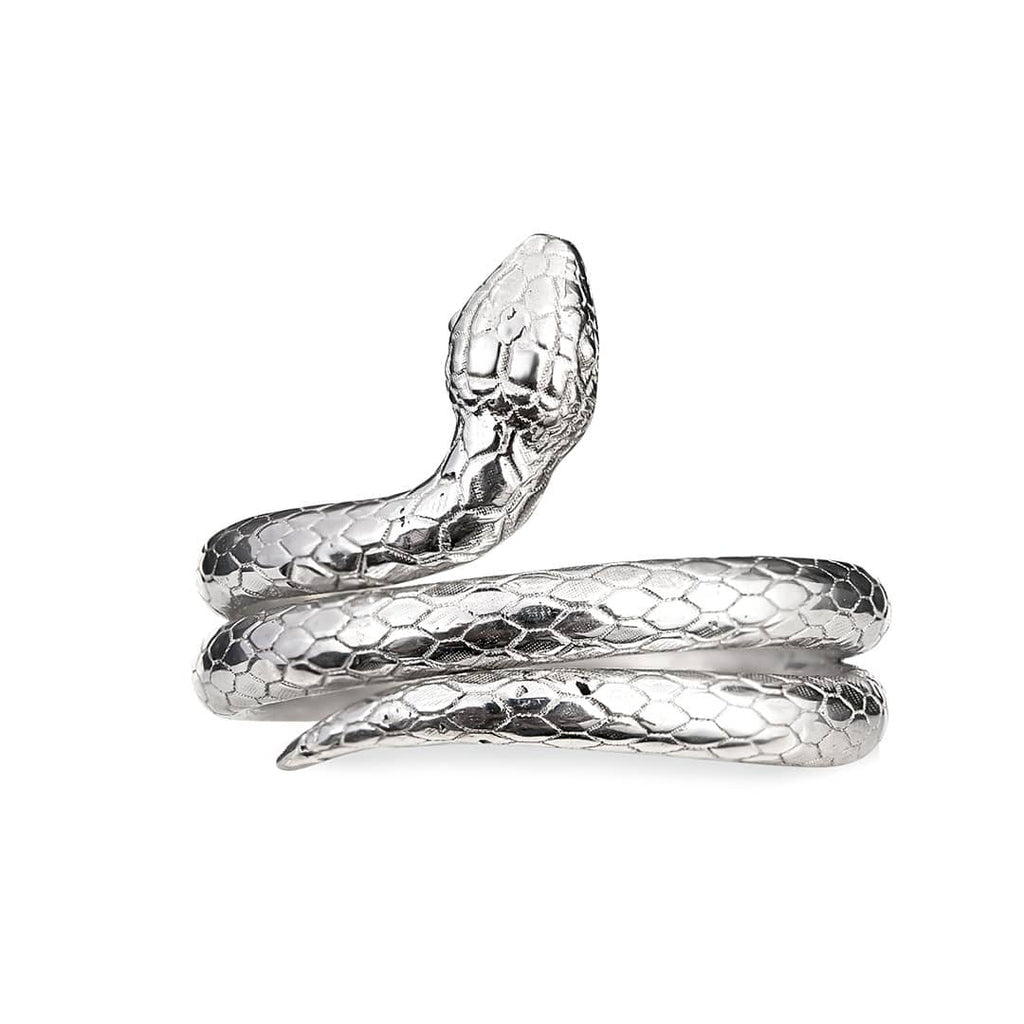 Nhẫn nữ Rắn bạc | Snake Silver Ring | AME Jewellery