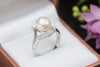 Nhẫn Ngọc trai nước ngọt Freshwater pearl split shank ring - AME Jewellery