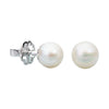 White Freshwater Cultured Pearl Stud Earrings in Sterling Silver - AME Jewellery